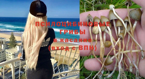 крисы Алексин