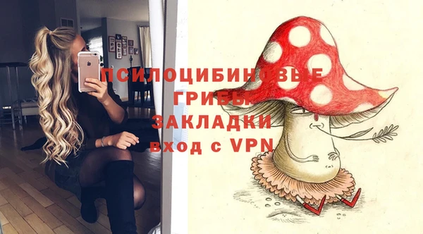 бошки Нефтегорск
