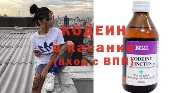 крисы Алексин