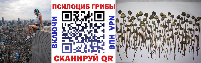 Галлюциногенные грибы мицелий  Чебаркуль 